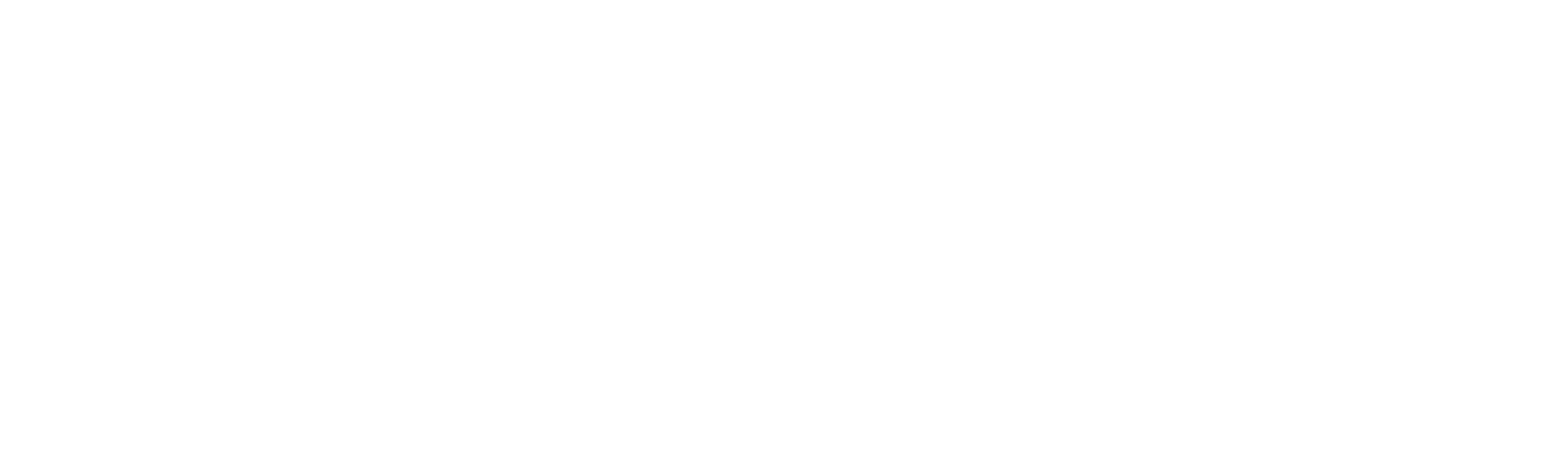 Logo MXNS en blanc